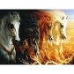 Продукт Anatolian Четирите коня на Апокалипсиса - 1 - BG Hlapeta