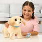 Продукт Little Live Pets Ouchies - Куче с Болно Краче - 7 - BG Hlapeta