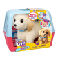 Продукт Little Live Pets Ouchies - Куче с Болно Краче - 14 - BG Hlapeta