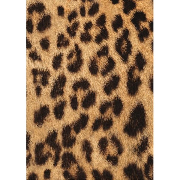 Продукт Cosatto Giggle 3 Special Edition Hear Us Roar - Бебешка количка 2в1 - 0 - BG Hlapeta