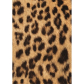 Продукт Cosatto Giggle 3 Special Edition Hear Us Roar - Бебешка количка 2в1 - 1 - BG Hlapeta