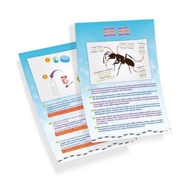 Продукт Buki France - Природа – Мини света на мравките - 0 - BG Hlapeta