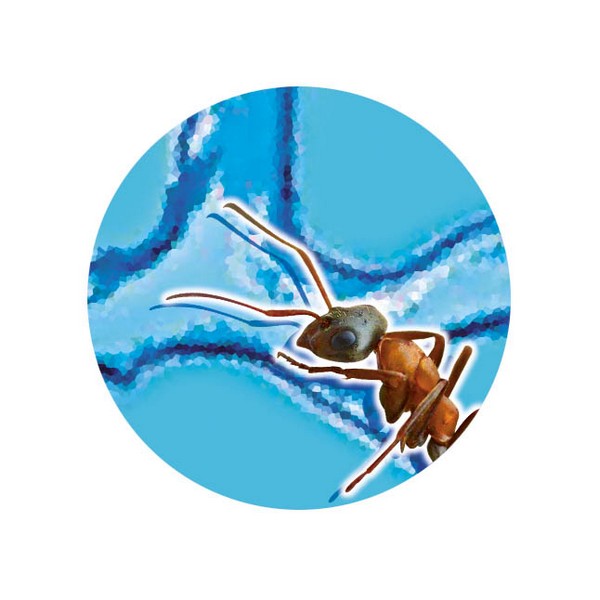 Продукт Buki France - Природа – Мини света на мравките - 0 - BG Hlapeta