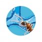 Продукт Buki France - Природа – Мини света на мравките - 1 - BG Hlapeta