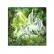 Ravensburger Красиви еднорози - Пъзел 3х49 ел. 
