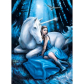 Продукт CLEMENTONI - Пъзел Anne Stokes Collection Blue Moon 1000ч. - 1 - BG Hlapeta