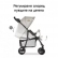 HAUCK Shopper Trioset Pooh Exploring - Комбинирана бебешка количка