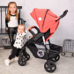 Продукт Lorelli DAISY BASIC - Детска количка с покривало - 2 - BG Hlapeta