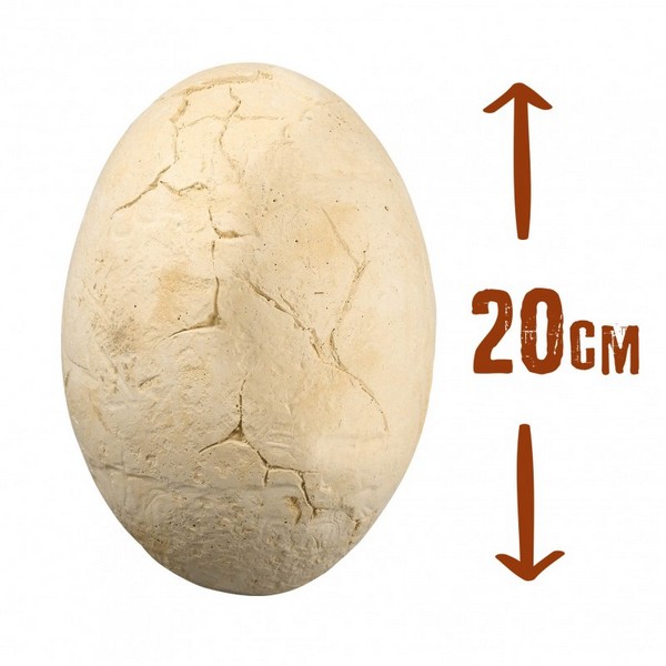 Продукт Buki France - Мега Дино яйце с динозавър за сглобяване - 0 - BG Hlapeta