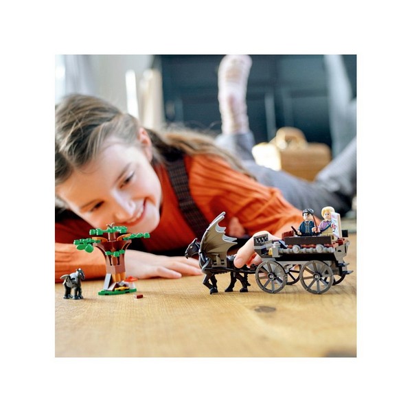 Продукт LEGO Harry Potter Hogwarts Carriage & Thestrals Хогуортс: каляска и тестрали - Конструктор - 0 - BG Hlapeta