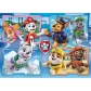 Продукт CLEMENTONI - Пъзел Paw Patrol 2x60ч. - 3 - BG Hlapeta