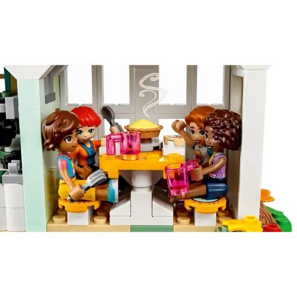 Продукт LEGO Friends Къщата на Отъм - Конструктор - 0 - BG Hlapeta