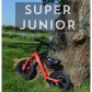 Продукт Kiddimoto Super Junior -  колело за балансиране - 2 - BG Hlapeta