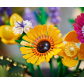 Продукт LEGO Icons - Букет диви цветя - 7 - BG Hlapeta