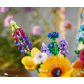 Продукт LEGO Icons - Букет диви цветя - 6 - BG Hlapeta