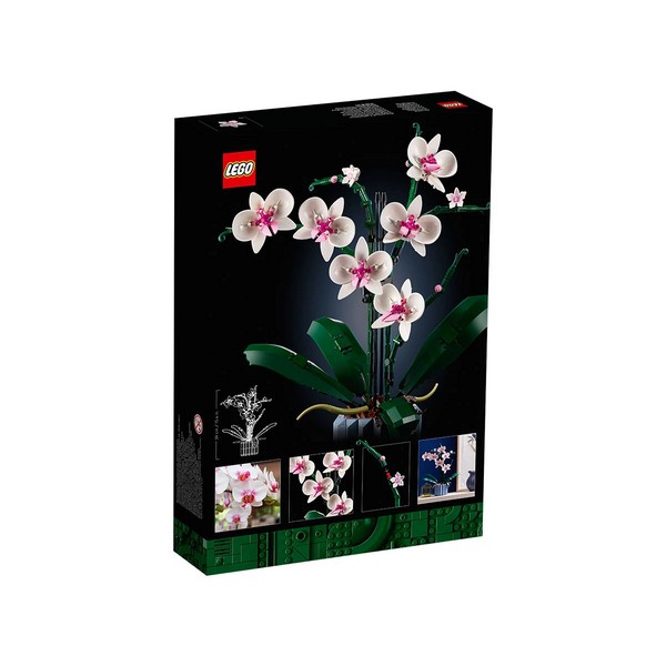 Продукт LEGO Icons Botanical - Орхидея - 0 - BG Hlapeta