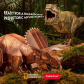 Продукт CubicFun National Geographic - Пъзел 3D  Tyrannosaurus Rex 52ч - 17 - BG Hlapeta