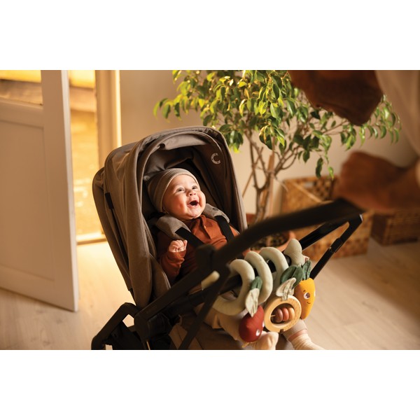 Продукт TINY LOVE Garden оf Adventures - Еко Спирала за количка, 0м+ - 0 - BG Hlapeta