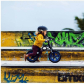 Продукт First Bike Limited - Колело за баланс - 24 - BG Hlapeta