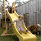 GINGER HOME - Детска Дървена Катерушка с Пързалка 2.2 м, За Игра на Двора Продукт GINGER HOME - Детска Дървена Катерушка с Пързалка 2.2 м, За Игра на Двора - 4 - BG Hlapeta