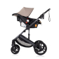 Продукт Chipolino Аморе - Комбинирана количка - 7 - BG Hlapeta