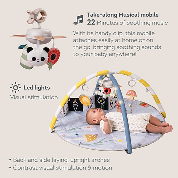 Продукт Taf Toys - Музикална активна гимнастика, С LED светлини - 0 - BG Hlapeta