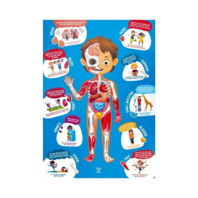 Hape Човешко тяло - Дървен пъзел, 60 части Hape Човешко тяло - Дървен пъзел, 60 части