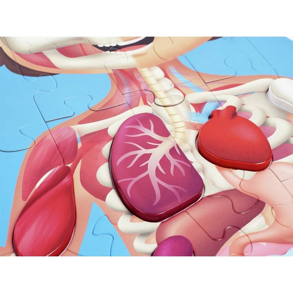 Продукт Hape Човешко тяло - Дървен пъзел, 60 части - 0 - BG Hlapeta