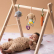 Taf Toys Джени, Спайк и Морковът - Комплект интерактивни плюшени играчки, 3 броя 2