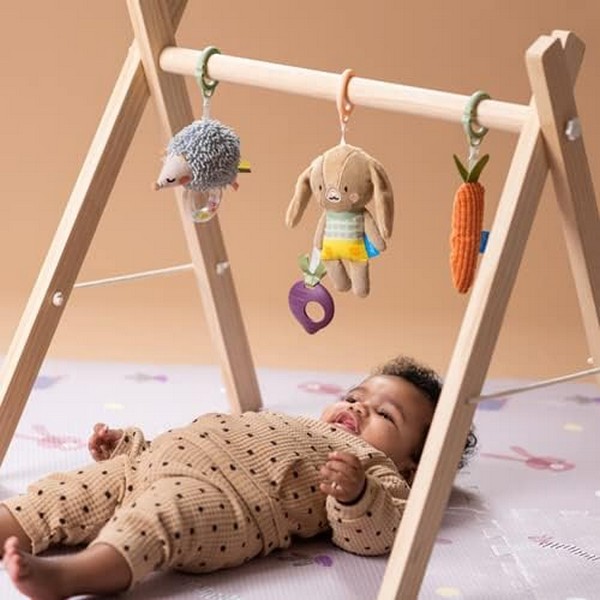 Продукт Taf Toys Джени, Спайк и Морковът - Комплект интерактивни плюшени играчки, 3 броя - 0 - BG Hlapeta