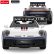 RASTAR Кола Porsche 911 Dakar Performance R/C 1:14 3