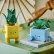 LEGO Botanicals Щастливи растения - Конструктор