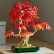 LEGO Botanicals Бонзай Червен японски клен - Конструктор
