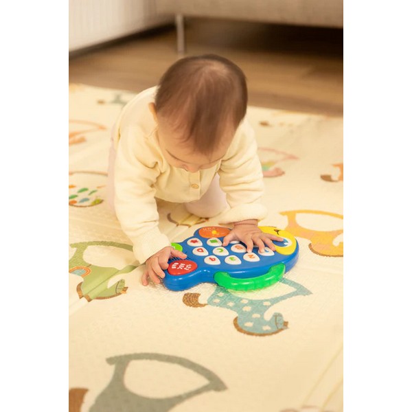 Продукт Caretero Toyz Музикална Рибка - Образователна Играчка - 0 - BG Hlapeta