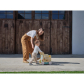 Продукт TINY LOVE Farmers Funday - Дървена проходилка за бутане с активности, 12м+ - 10 - BG Hlapeta