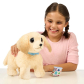 Продукт Little Live Pets Ouchies - Куче с Болно Краче - 1 - BG Hlapeta