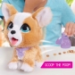Продукт Fur Real Corgi - Акащо кученце - 1 - BG Hlapeta