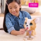 Продукт Fur Real Corgi - Акащо кученце - 5 - BG Hlapeta