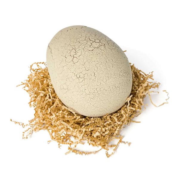 Продукт Spin master Primal Hatch - Интерактивен T Rex в Яйце - 0 - BG Hlapeta