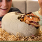 Продукт Spin master Primal Hatch - Интерактивен T Rex в Яйце - 2 - BG Hlapeta