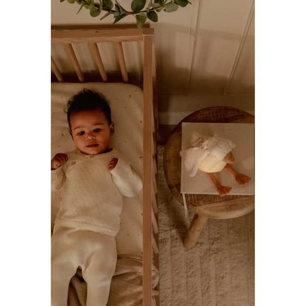 Продукт Little Dutch - Мек Гъсок с Нощна Лампа и Успокояващи Звуци - 0 - BG Hlapeta