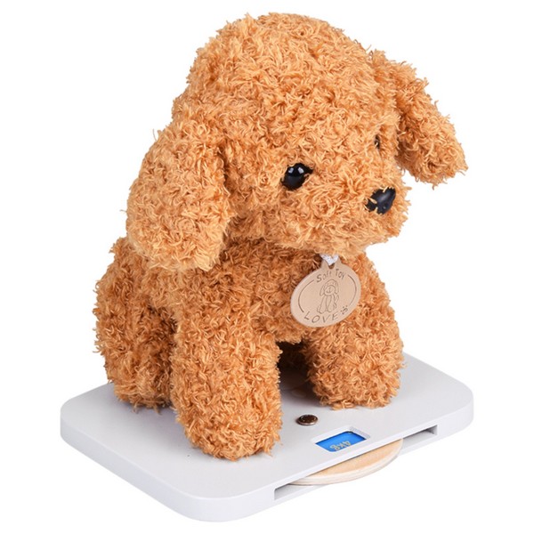 Продукт GINGER HOME - Дървен Ветеринарен Център с Аксесоари и Плюшено Куче, 89×57×30 см - 0 - BG Hlapeta