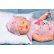 Baby Born Magic Girl - интерактивно бебе с аксесоари