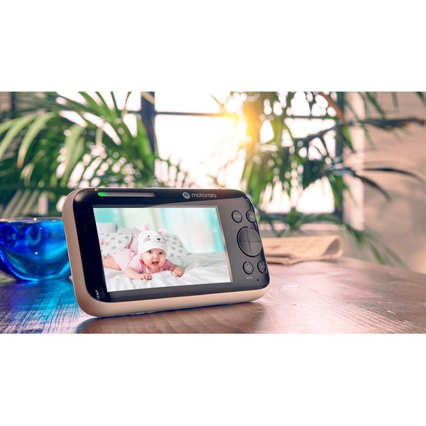 Продукт Motorola - Допълнителна камера за PIP1500 CONNECT - 0 - BG Hlapeta