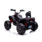 Продукт Акумулаторно АТВ FX SPORT - 1 - BG Hlapeta