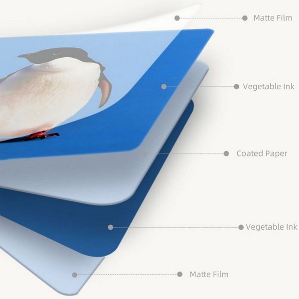 Продукт RTOYS - Комплект бебешки карти за визуална стимулация, 0-3 г. - 0 - BG Hlapeta