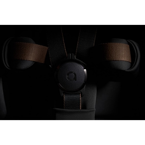 Продукт Anex FLO - Бебешка количка 2 в 1 - 0 - BG Hlapeta