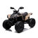 Акумулаторно бъги Licensed Can AM Renegade ATV, 24V с музика и светлини 1