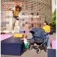 Продукт Bugaboo Donkey5 Duo - Детска количка - 21 - BG Hlapeta