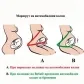 Продукт BeSafe Pregnant - Предпазен автомобилен колан за бременни - 2 - BG Hlapeta